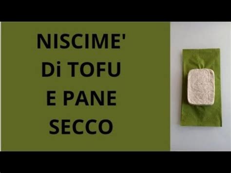 Niscime Di Tofu E Pane Secco Youtube