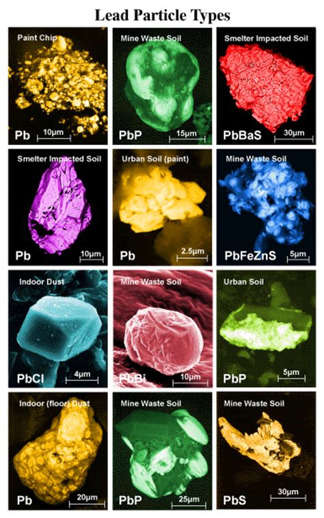 Particle Databases Particle Analysis Suny Upstate Medical University