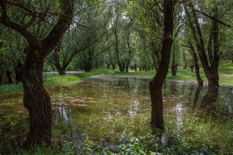 FOTO Nivelul apei în Nistru a crescut Tiraspolul riscă să fie