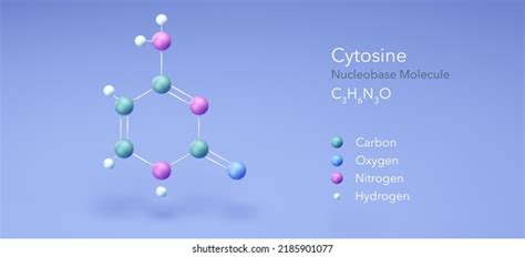 Cytosine Nucleobase Dna Molecule Molecular Model Stock Illustration