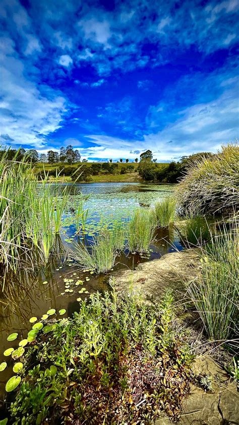 Moga Aziz Water Macarthur Nature Photography Competition Flickr