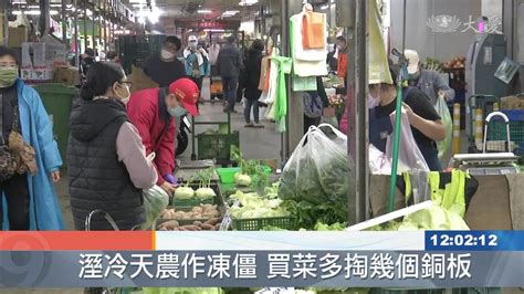 寒害農損逾600萬 菜價微幅上漲