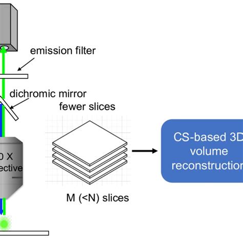 Simple Illustration Of The Demonstrated Low Dosage Compressive Sensing