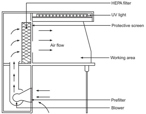 Diagram Of Vertical Laminar Air Flow Laminar Flow Hood Cabin