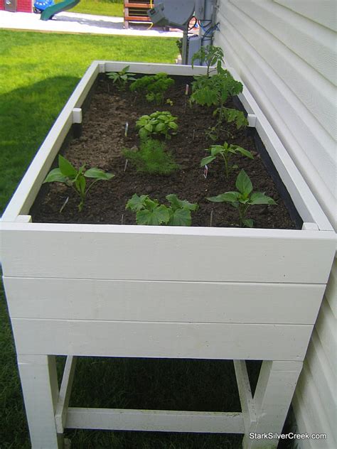 All-star: Loni's vegetable garden, planter box how-to guide, and fresh ...