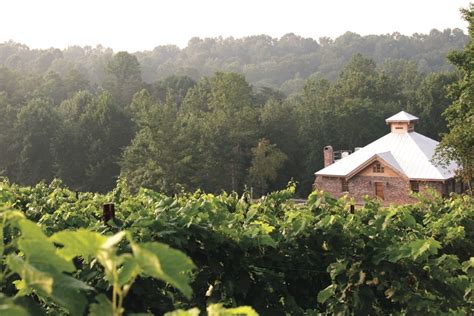 The Growing Popularity of North Carolina Wineries - Luxe Getaways