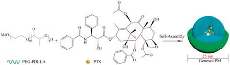 聚合物胶束技术及国产辅料供应 厦门赛诺邦格生物科技股份有限公司