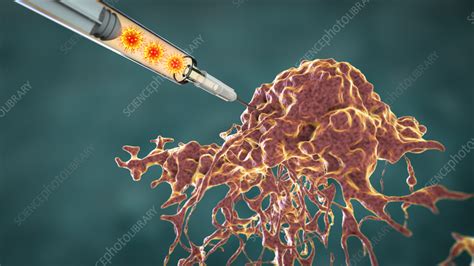 Oncolytic Viral Therapy Conceptual Illustration Stock Image F037