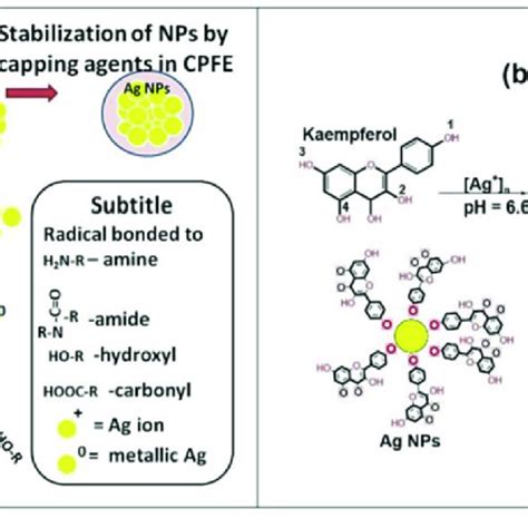 (a) Schematic flow diagram of CPFE preparation and formation of... | Download Scientific Diagram