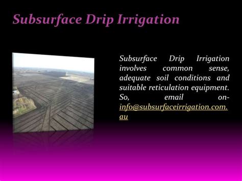 Subsurface Irrigation Tube 2 Ppt