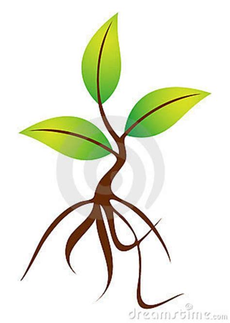 Plant with roots | Plant roots, Plants, Roots