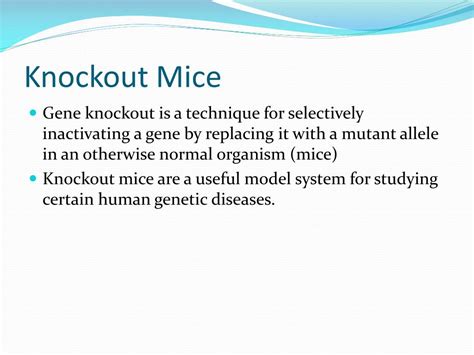 PPT - Transgenic and knockout mice PowerPoint Presentation, free ...