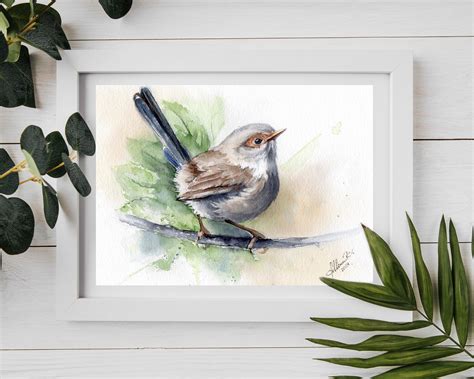 Fairy Wren Watercolor Art Bird Original Painting Female Fairywren