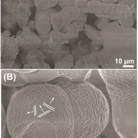 (A) and (B) Scanning electron micrographs of the resulting ... 