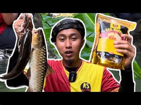 Masak Nasi Mandy Ikan Tengas Dalam Hutan YouTube