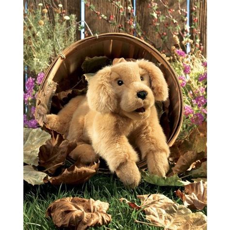 Buy Folkmanis Golden Retriever Puppy Puppet