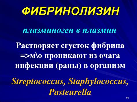 Основы учения об инфекции - презентация онлайн
