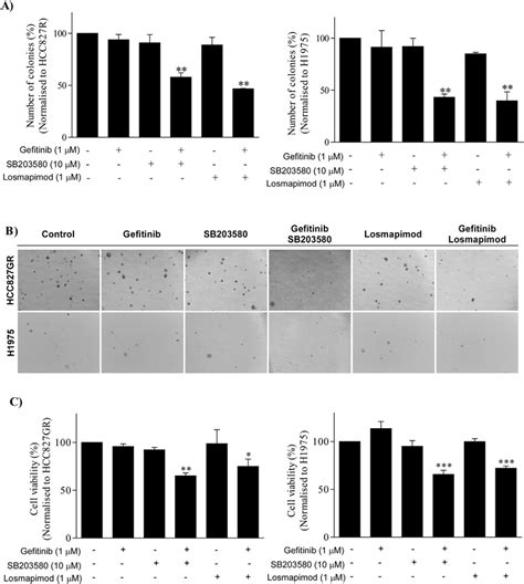 Losmapimod Overcomes Gefitinib Resistance In NSCLC Cells A