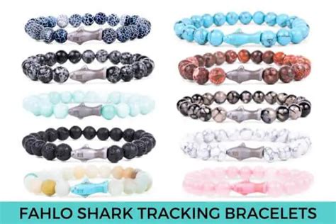 The Coolest Shark Tracking Bracelet 5 Reasons To Love It