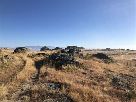 Flat Top Hill Otago Trails Photo Gallery Wild Things