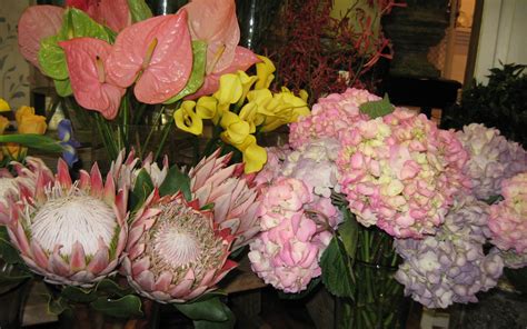 Anns Florist In Fort Lauderdale Florida Carlisles Chesapeake