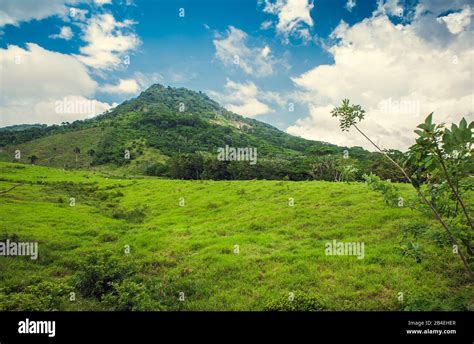 Tropical Jungle Mountain In Dominican Republic Seychelles Caribbean