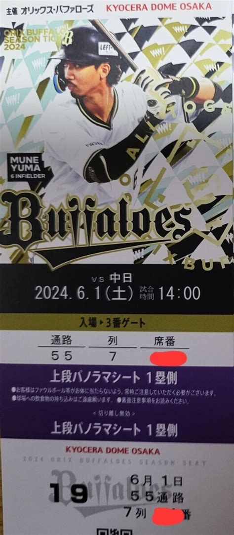 Yahoo オークション 交流戦 6月1日 半値スタート パノラマシート 1枚