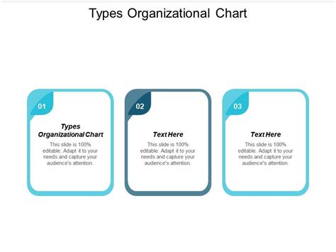 Different Organizational Chart A Visual Reference Of Charts Chart Master