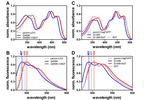 Absorption A C And Fluorescence Emission Spectra B D Of Ilov And