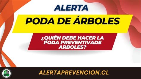 Poda De Rboles Alerta De Prevenci N De Riesgos