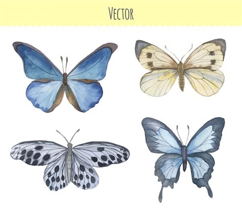 Conjunto De Borboletas Em Aquarela Vetor Premium