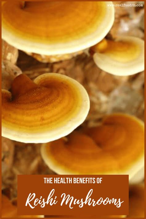 The Health Benefits of Reishi Mushrooms - Real Food RN