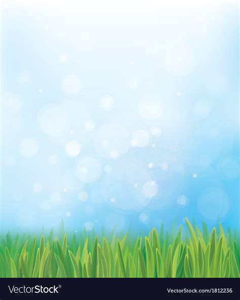 Sky Grass Background Vector