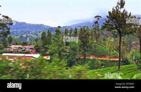 Sri lanka village Stock Videos & Footage - HD and 4K Video Clips - Alamy