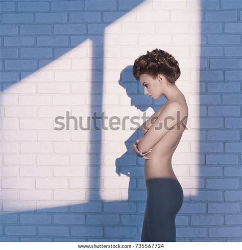 Fashion Photo Nude Elegant Woman Near Stock Photo 735567724 Shutterstock