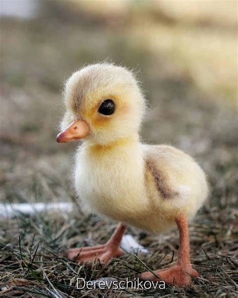 Утенок Фима вышел на осеннюю прогулку🦆 Утенок изготовлен на заказ. Sold ...