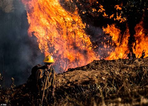 Mosquito Wild Fire Is Now California S Largest Blaze Of Daily