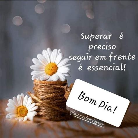 Pin De Maricy Vasconcelos Em Bom Dia Sms De Bom Dia Frases E