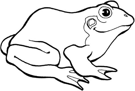 Free Frog Coloring Coloring Pages