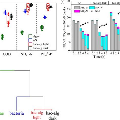 Boxplots of COD NH 4 þ N and P removal for n ¼ 20 a nitrite