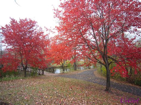 Autumn Bliss by UvGirl on DeviantArt