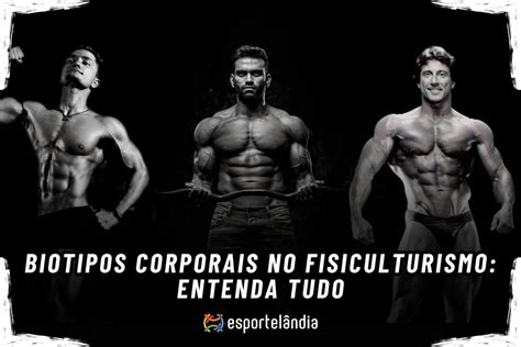 Biotipos Corporais No Fisiculturismo Entenda Tudo Esportelândia