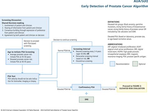 Early Detection Of Prostate Cancer Auasuo Guideline Part I Prostate