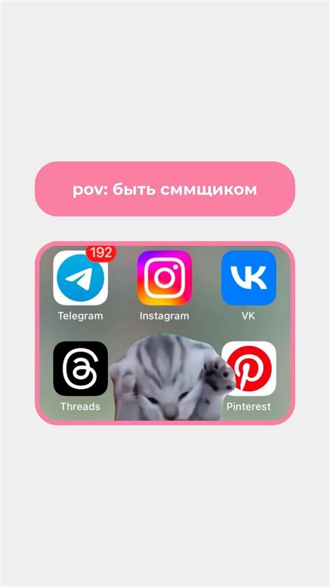 Все мемные коты | Blogway