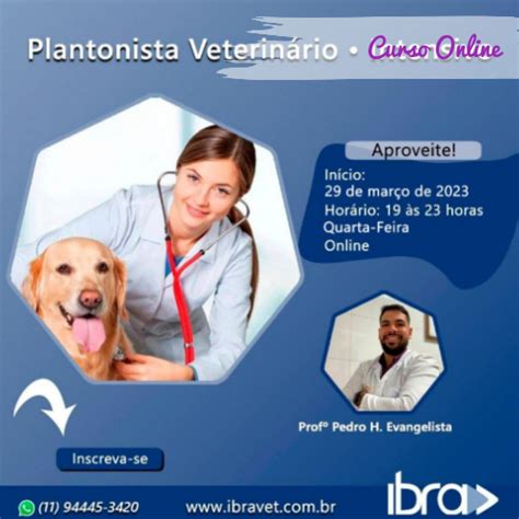 Curso Online Plantonista veterinário intensivo IBRA Instituição