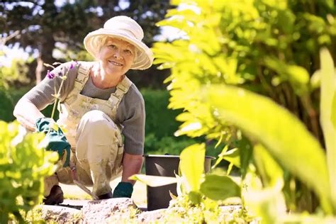 COTA NSW Represents The Rights Interests Of People Over 50