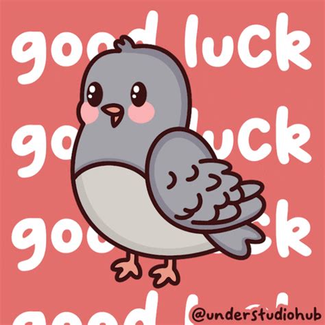 Best Of Luck GIF