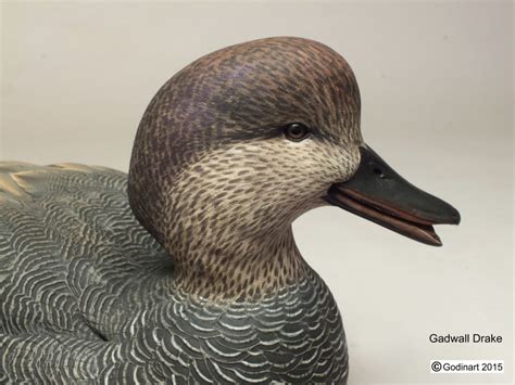 Gadwall Drake Photo Packet Godin Art