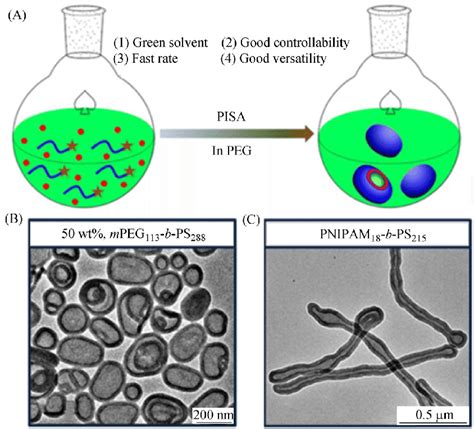 Schematic Of Dispersion Raft Polymerization In Peg And The Advantages Download Scientific