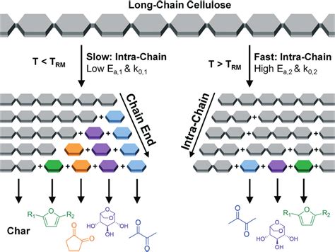 Scheme Of Cellulose Glycosidic Bond Cleavage Near The Reactive Melting Download Scientific